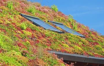Otford living roof systems